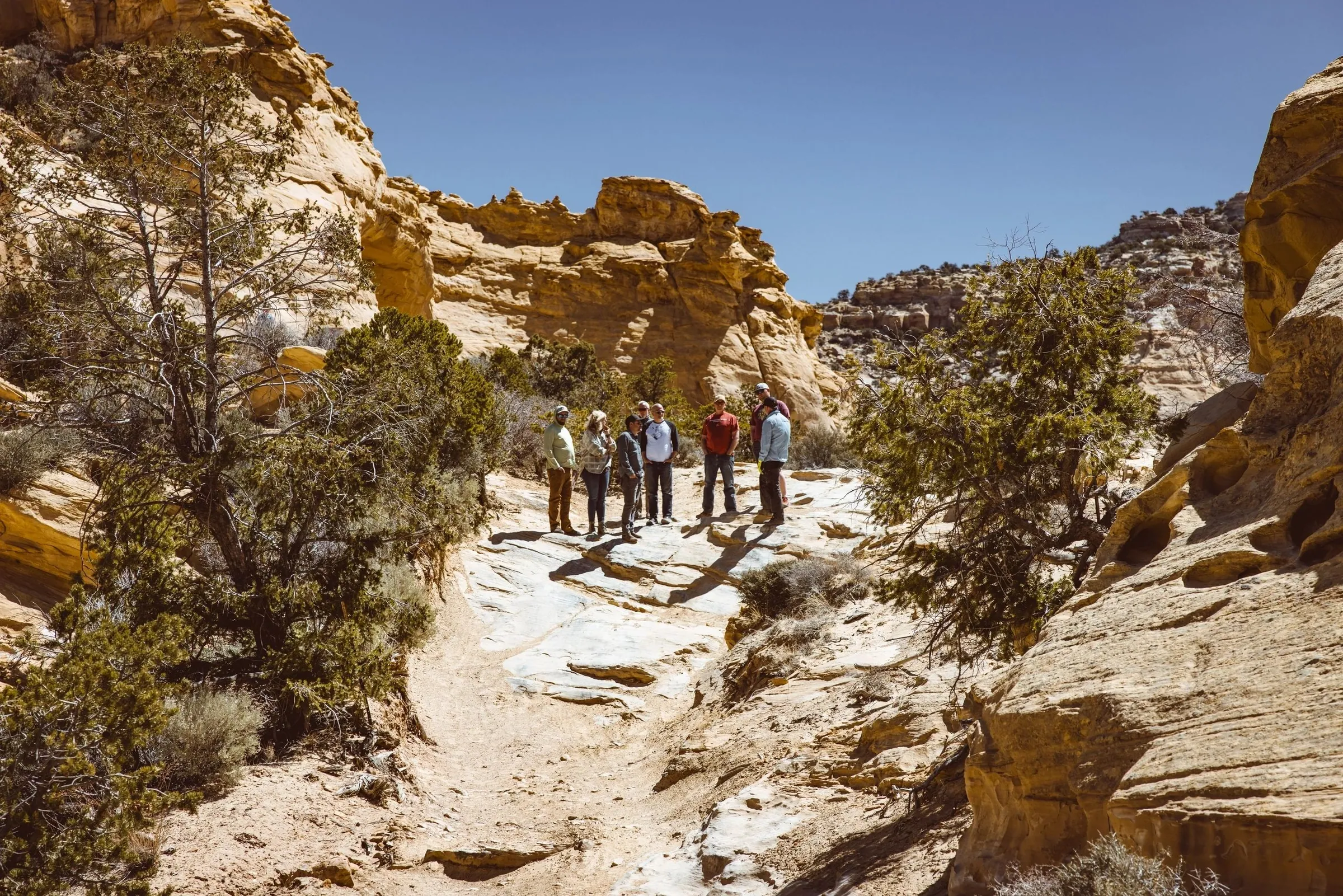 Small group gathered in a slickrock canyon among juniper trees