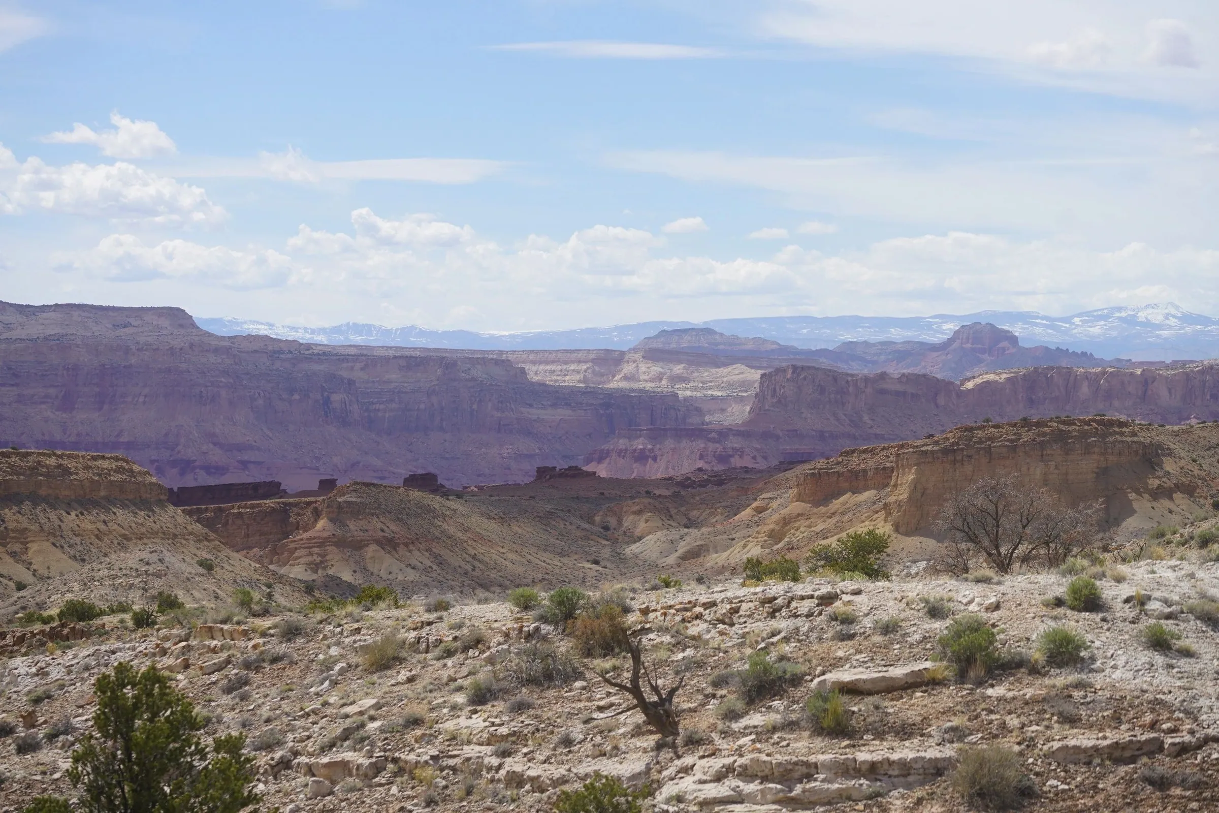 Wide view of canyon country with distant snow-capped mountains