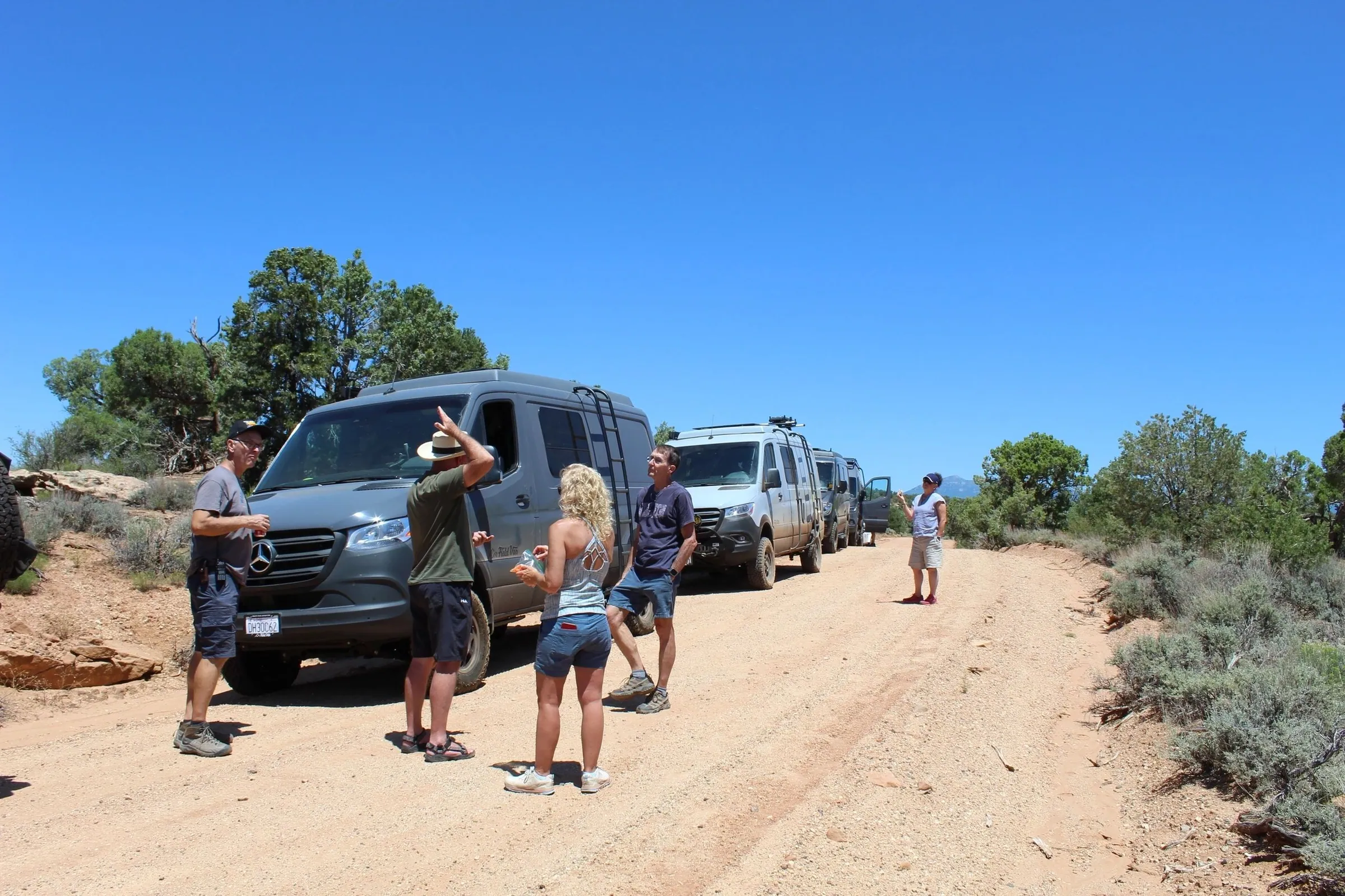 Guests chatting on a dirt road beside a line of vans