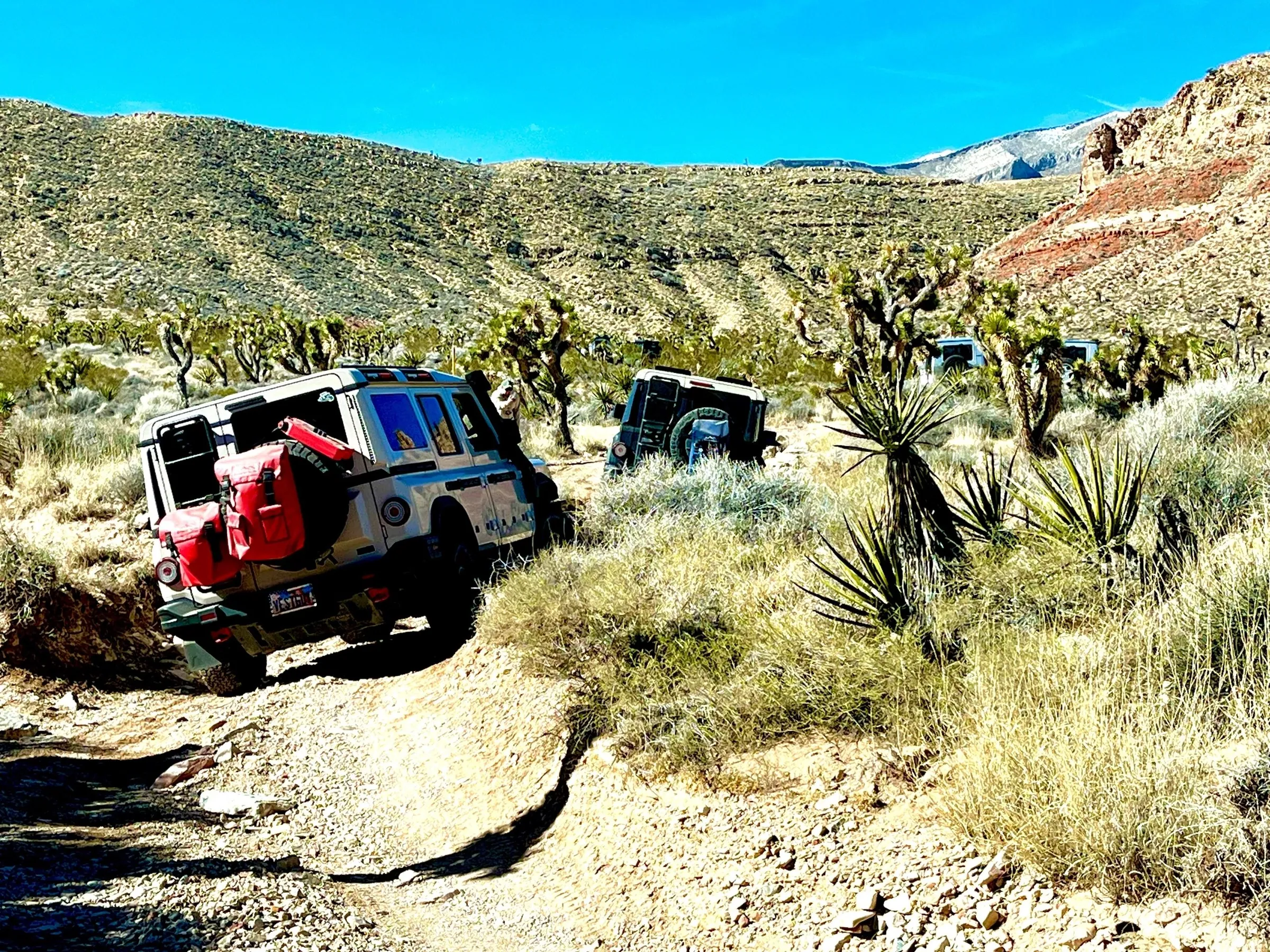 4x4 on a rocky trail among Joshua trees